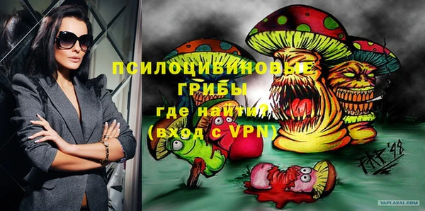 спиды Горно-Алтайск
