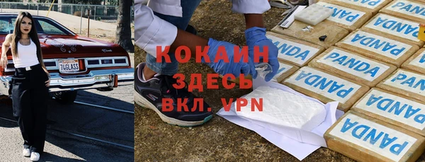 метадон Горняк