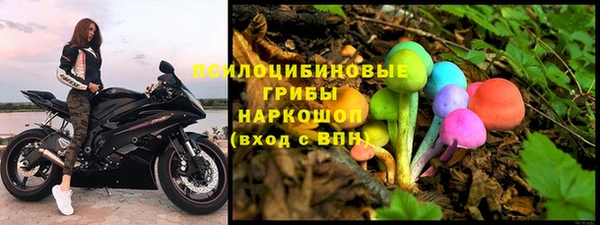 метадон Горняк